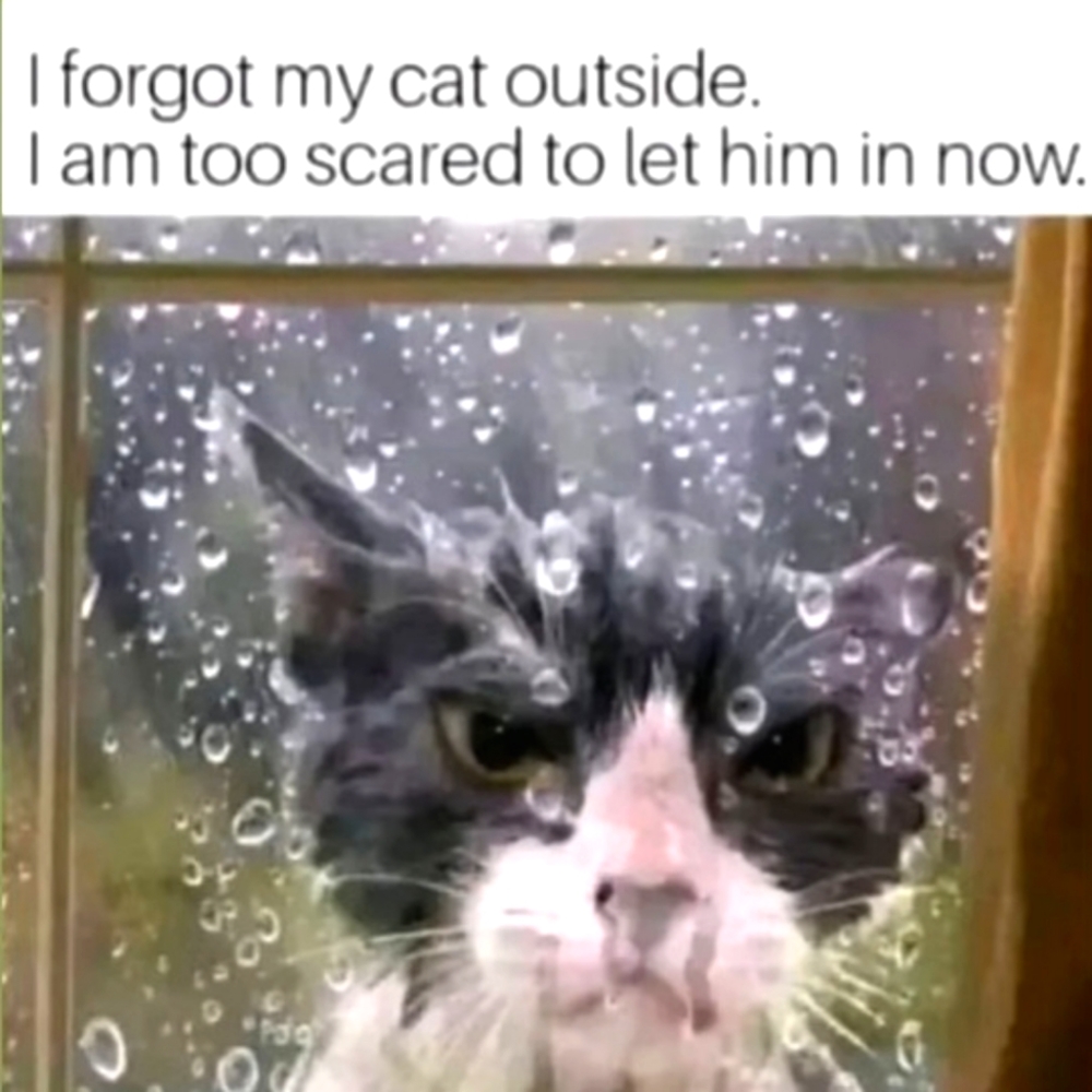 Come In From The Rain , Sale